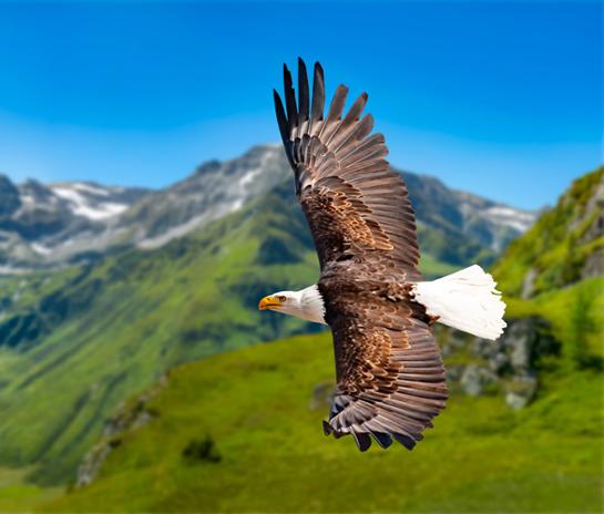 Kurz & bündig Kurz & bündig